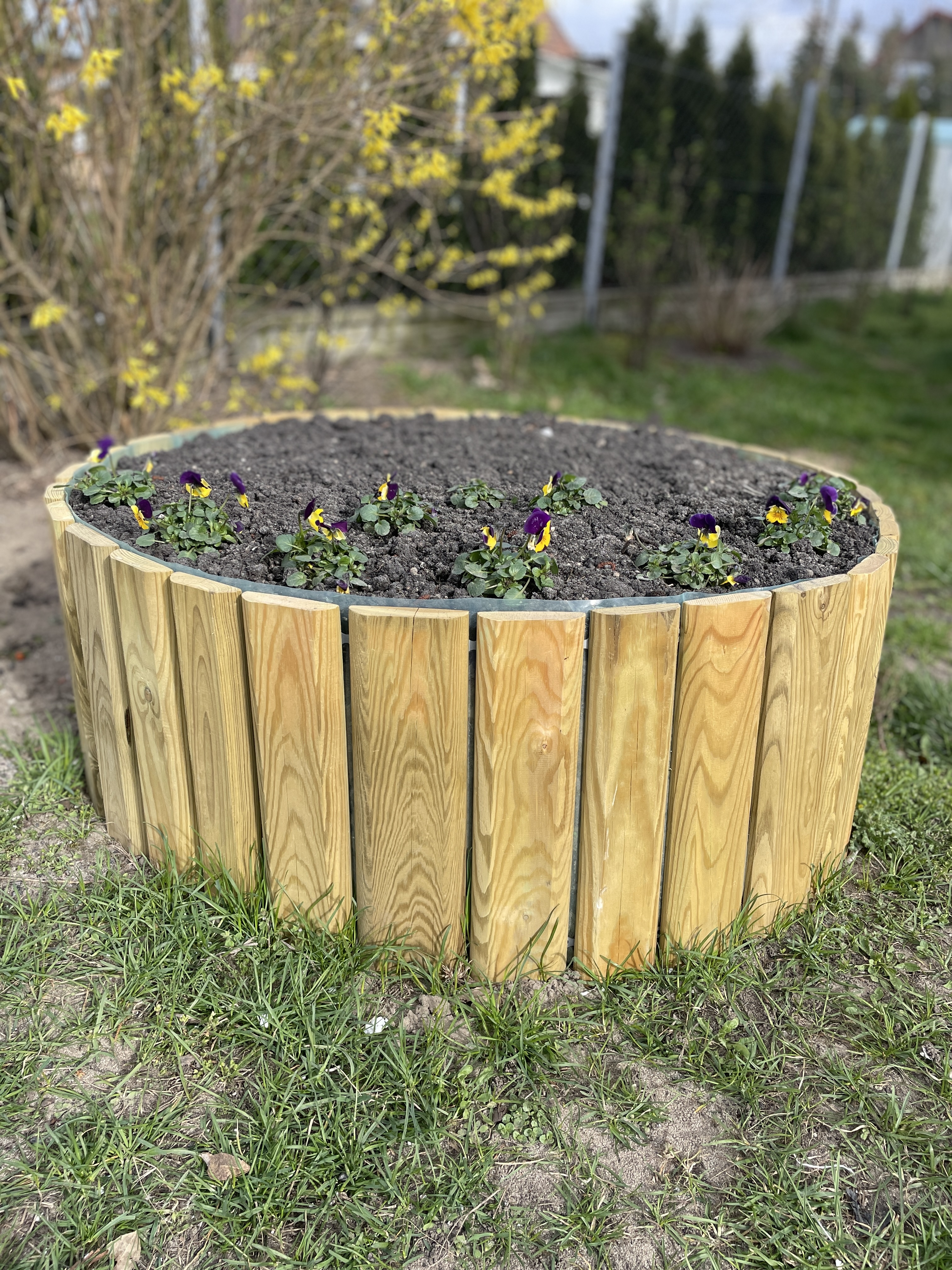 IMG_5999 (edytowany)